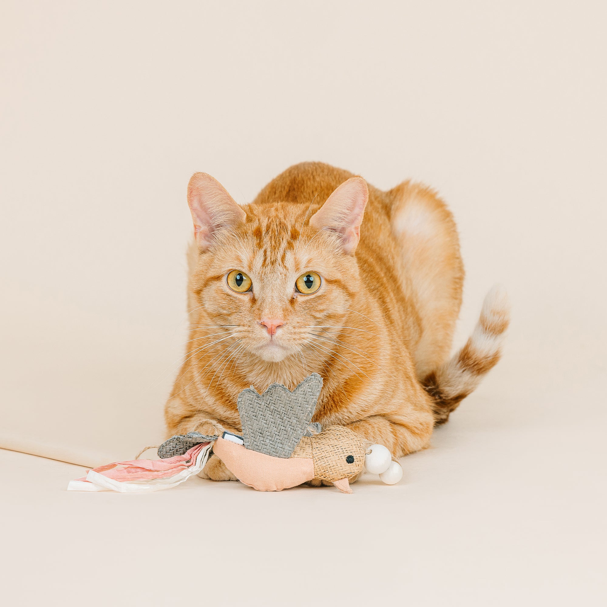 Taking Flight Earth Friendly Teaser Cat Toy