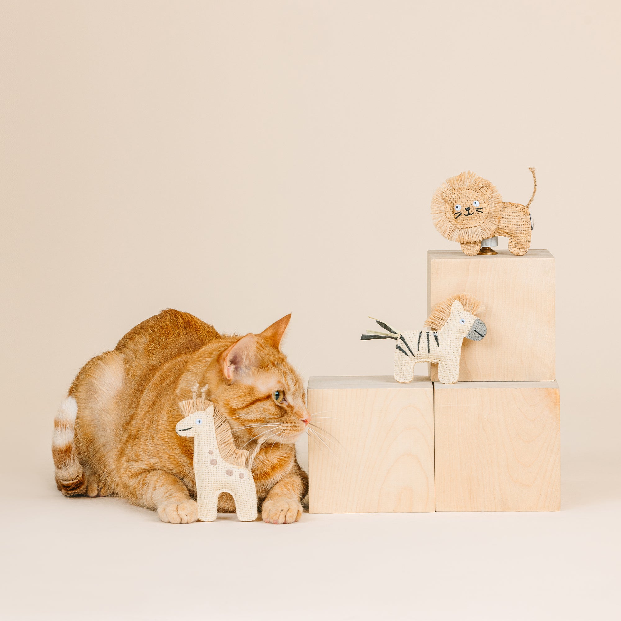 Having a Wild Time! 3pc Earth Friendly Cat Toy Set