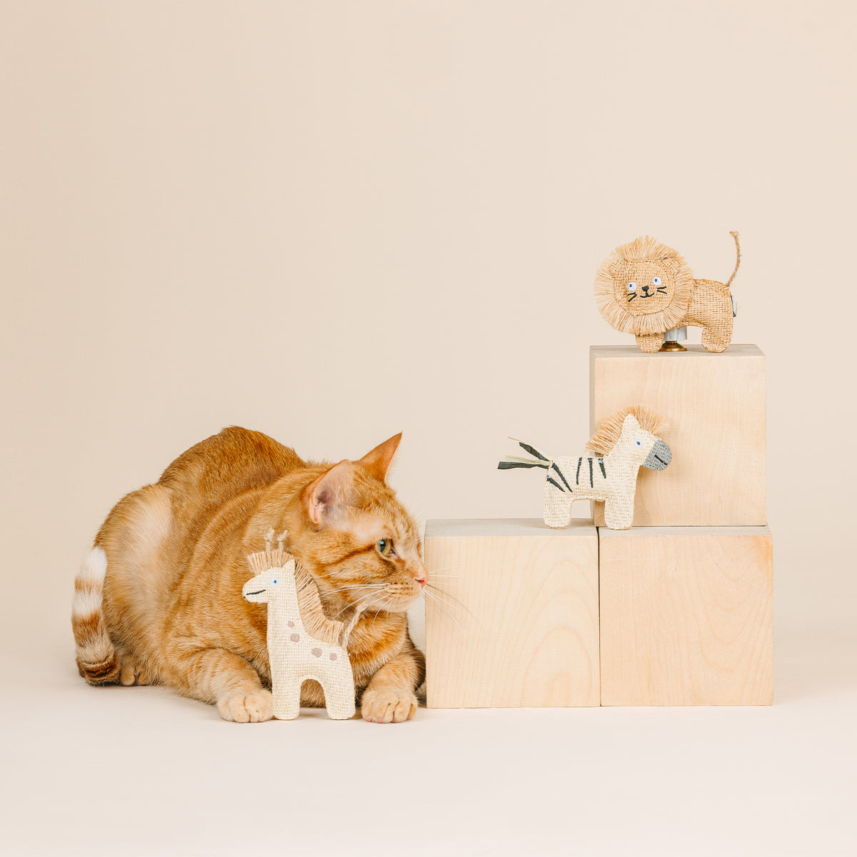 Having a Wild Time! 3pc Earth Friendly Cat Toy Set