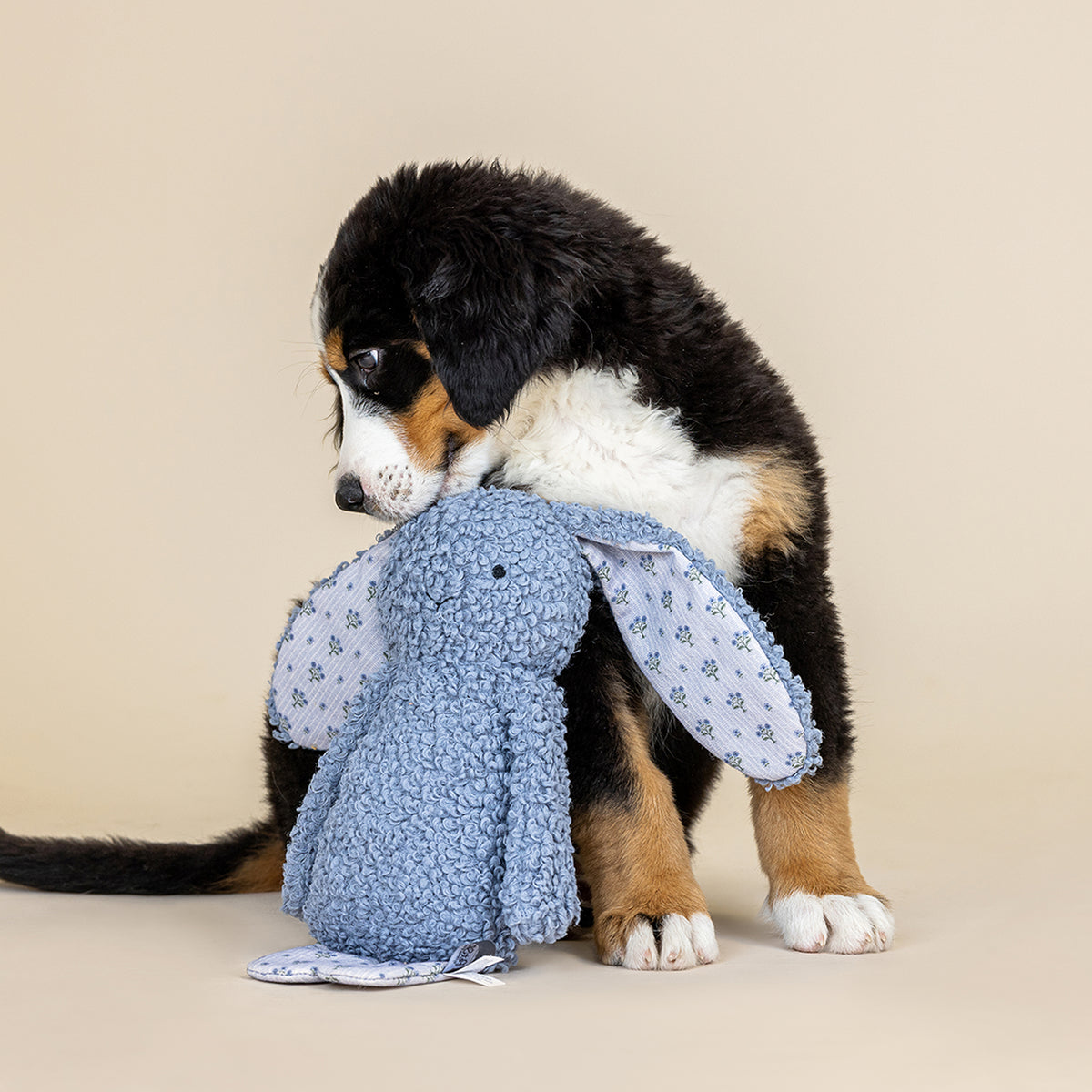 Hoppy Textured Patchwork Dog Toy