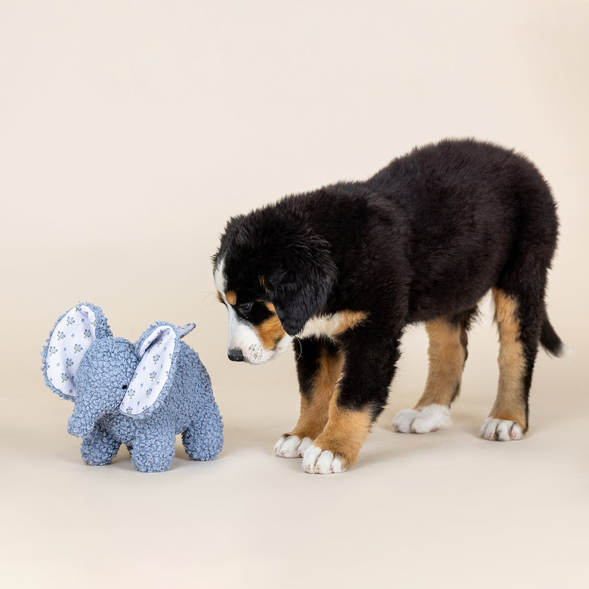 Ellie Textured Patchwork Dog Toy