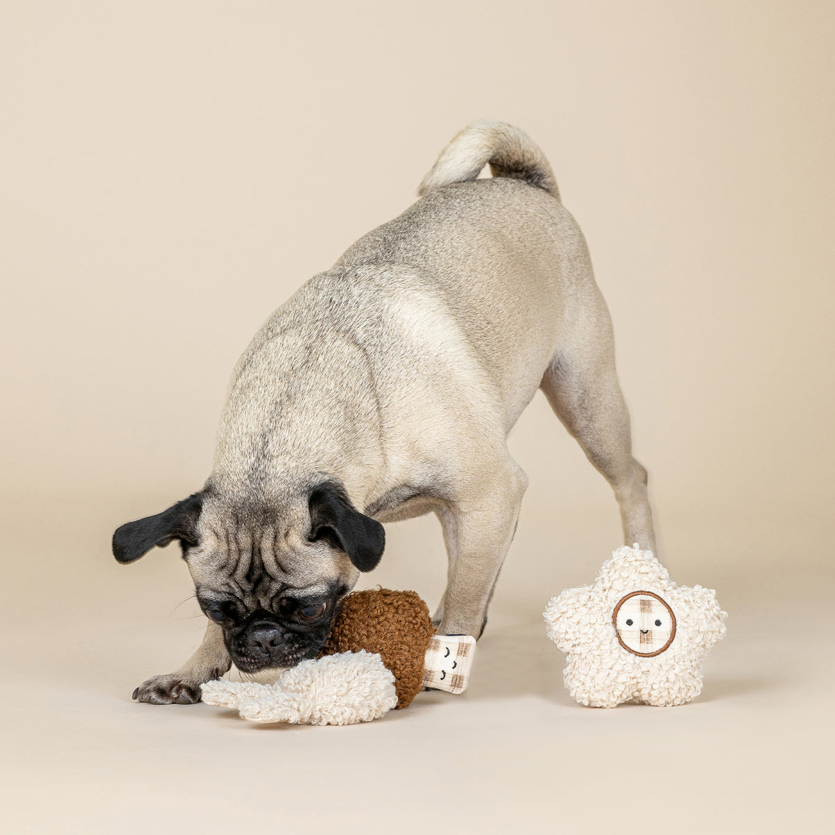 Meadow Blooms 3pc Textured Patchwork Mini Dog Toy Set