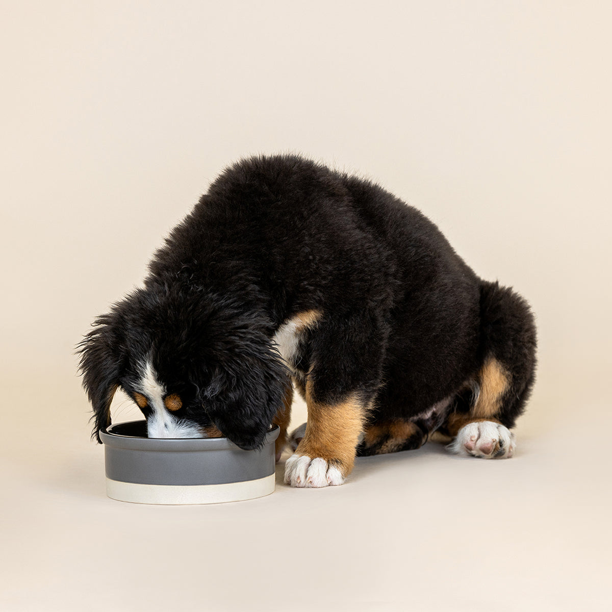 Bone Charcoal Medium Stoneware Dog Bowl