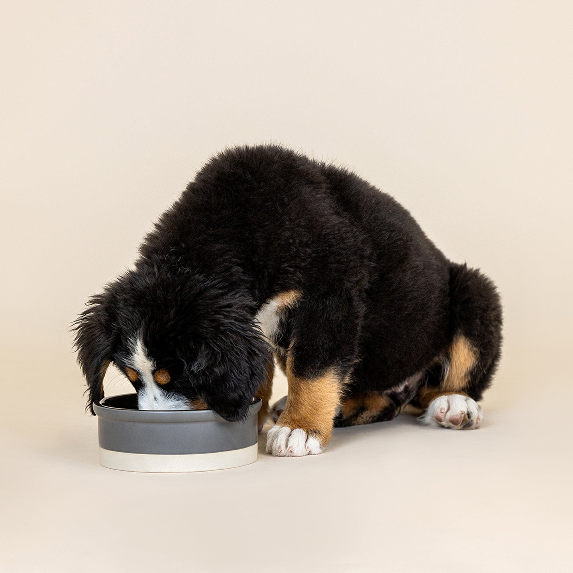 Bone Charcoal Medium Stoneware Dog Bowl