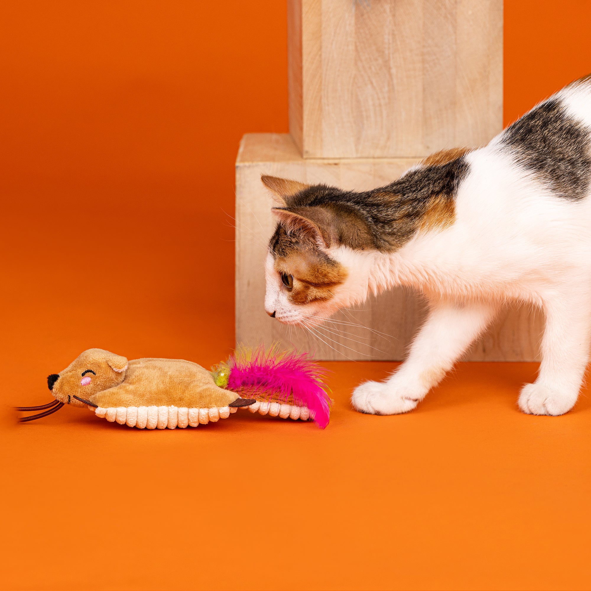 Catch Me Flyin' Launcher Cat Toy