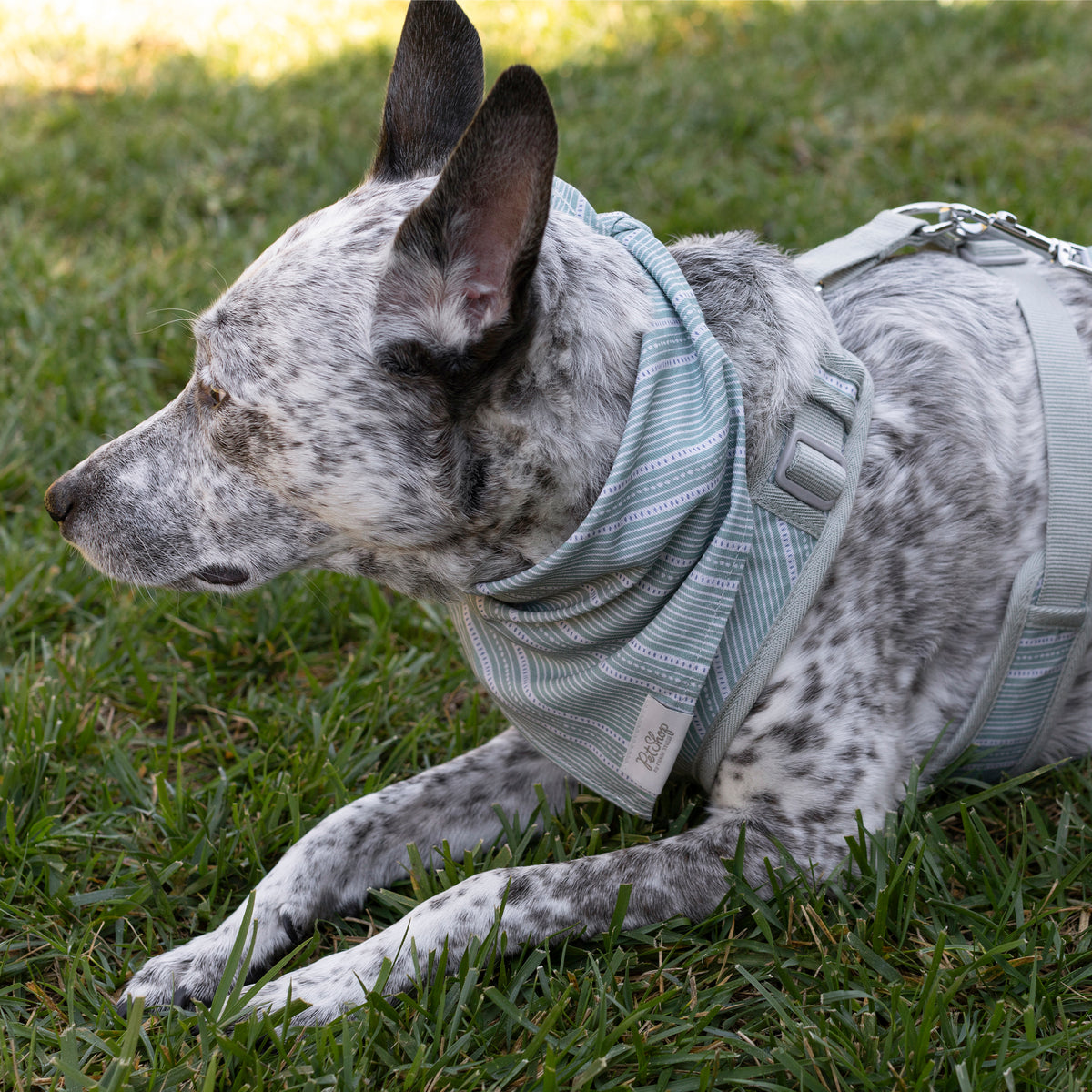 Block Stripe Dusty Sage Bandana