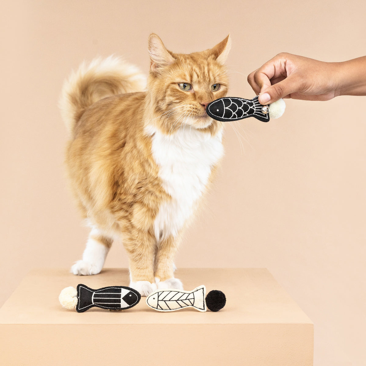 Off The Scales 3pc Mini Felt Cat Toy Set