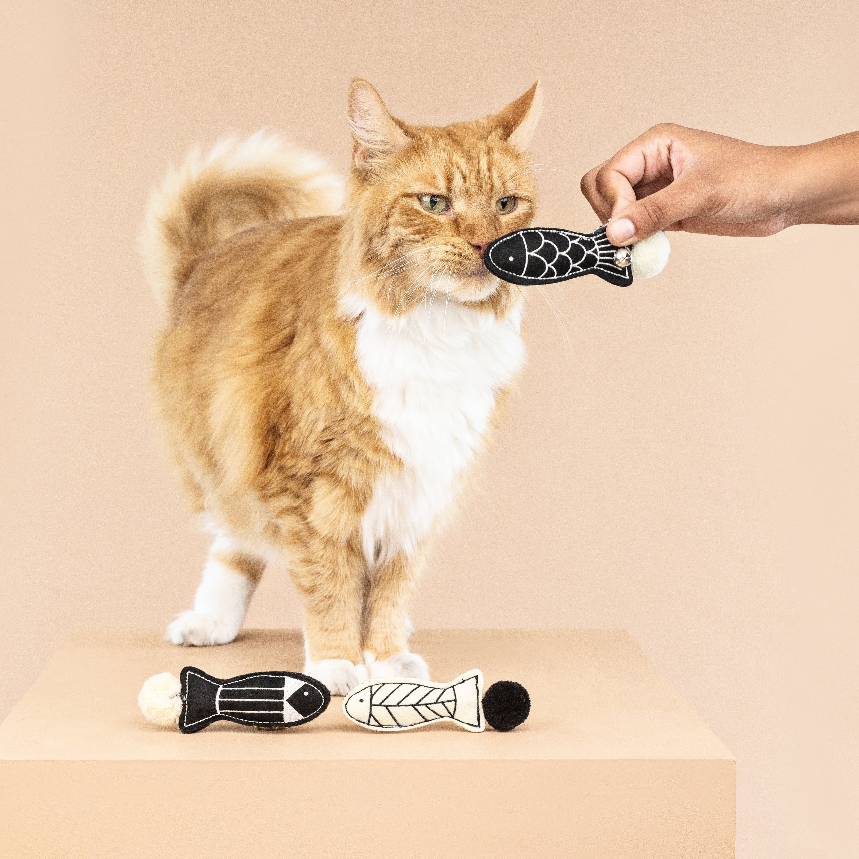 Off The Scales 3pc Mini Felt Cat Toy Set