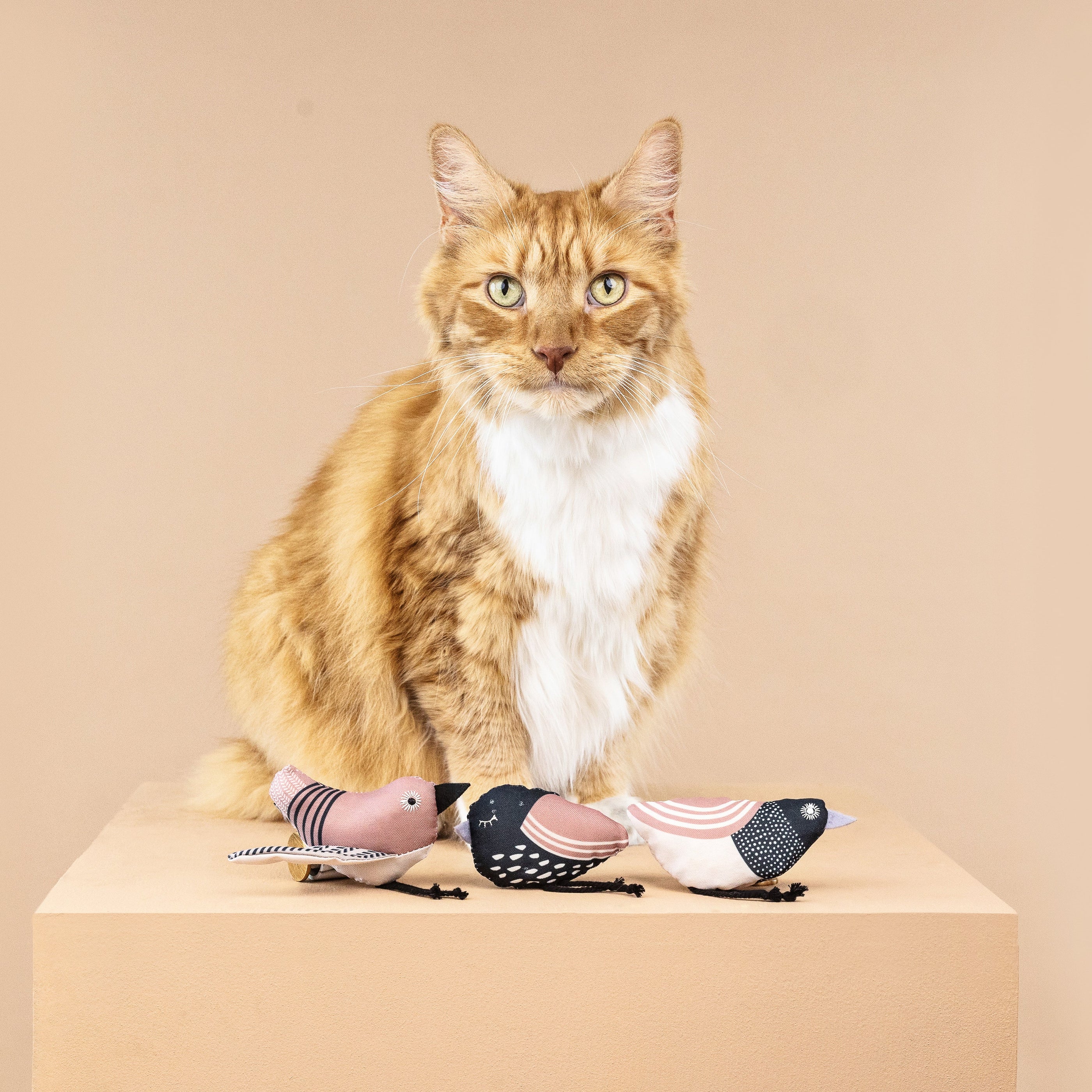 Under My Wings 3pc Mini Canvas Cat Toy Set