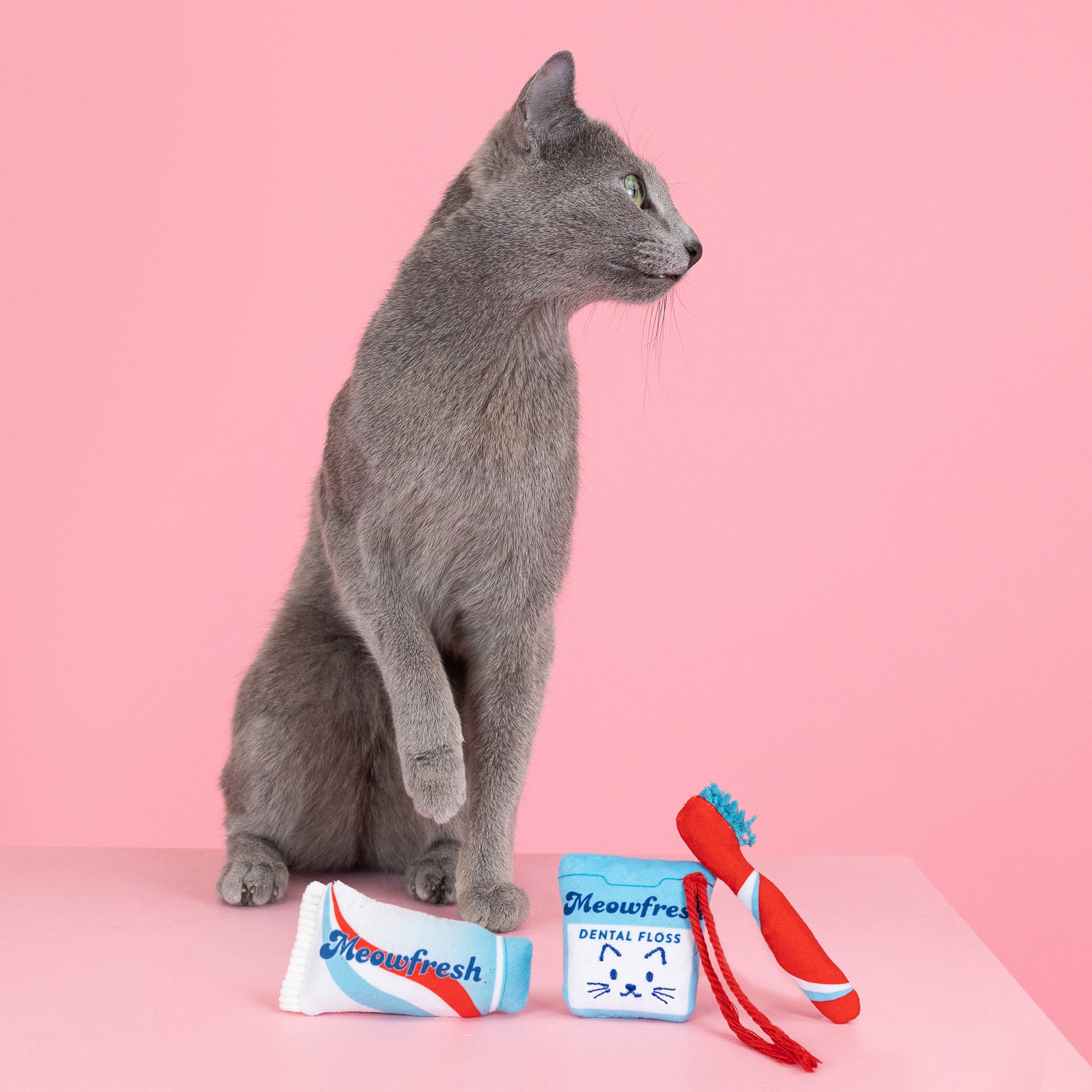 Minty Fresh 3pc Mini Plush Cat Toy Set