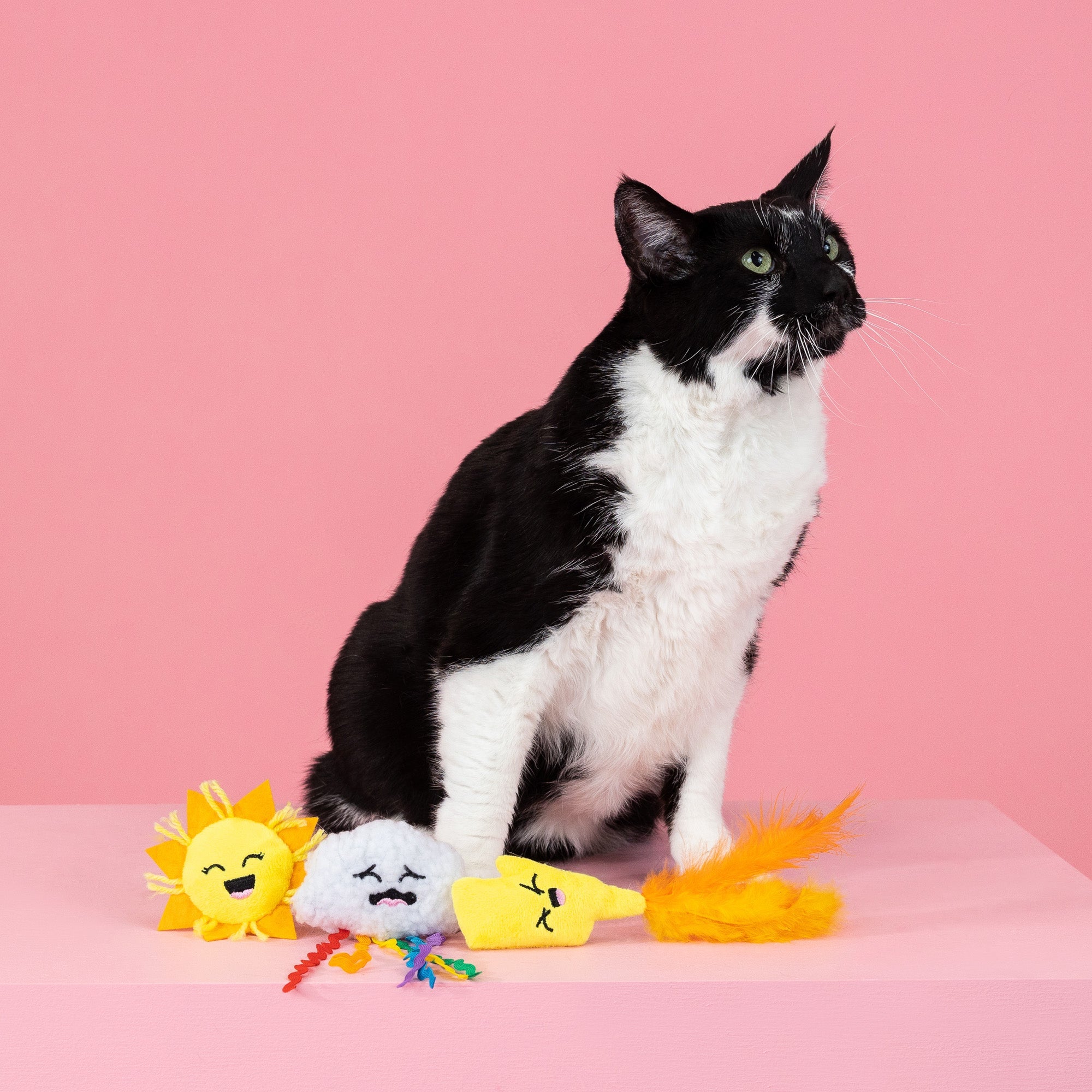 Purr-Fect Weather 3pc Mini Plush Cat Toy Set