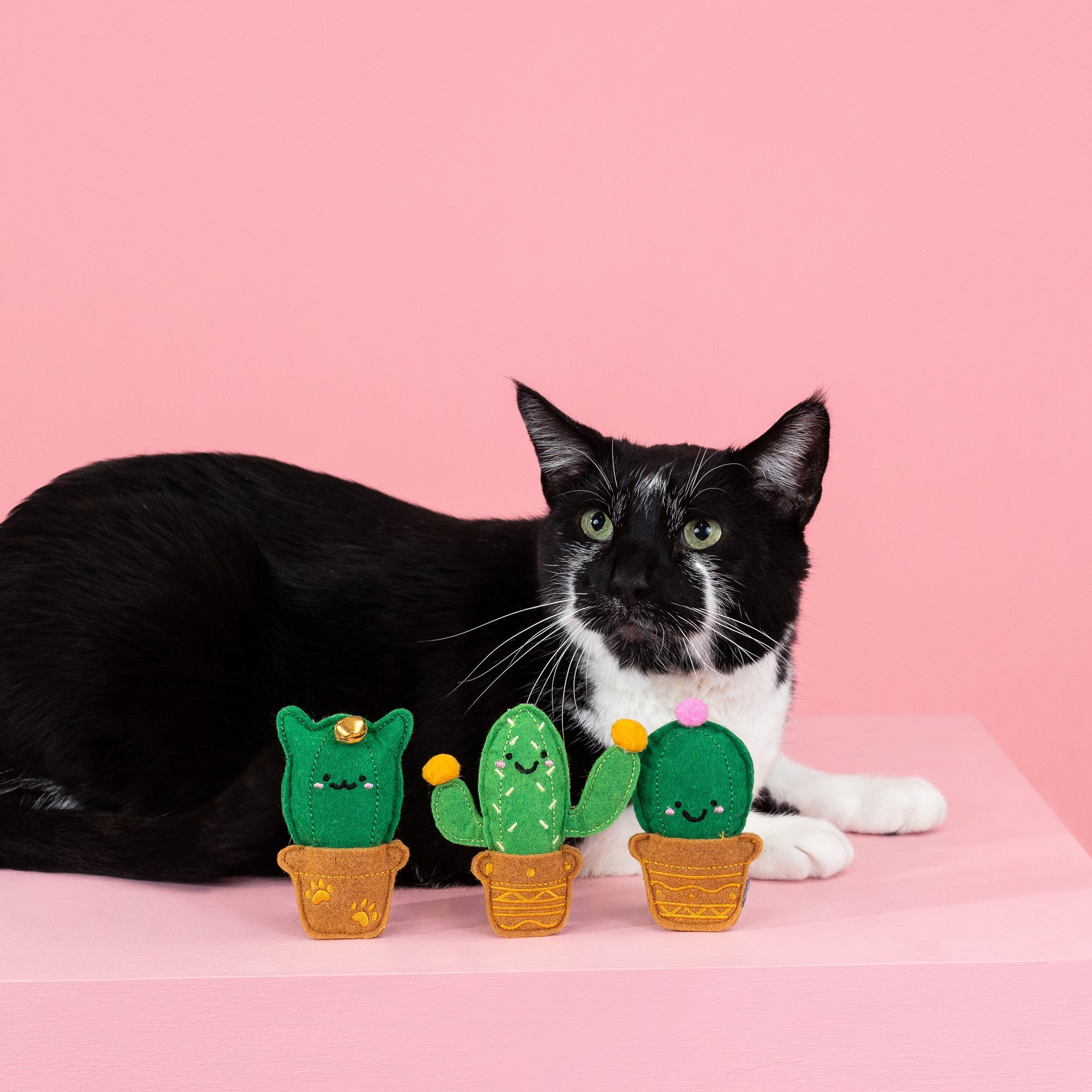 Cat-Us Friends 3pc Felt Cat Toy Set
