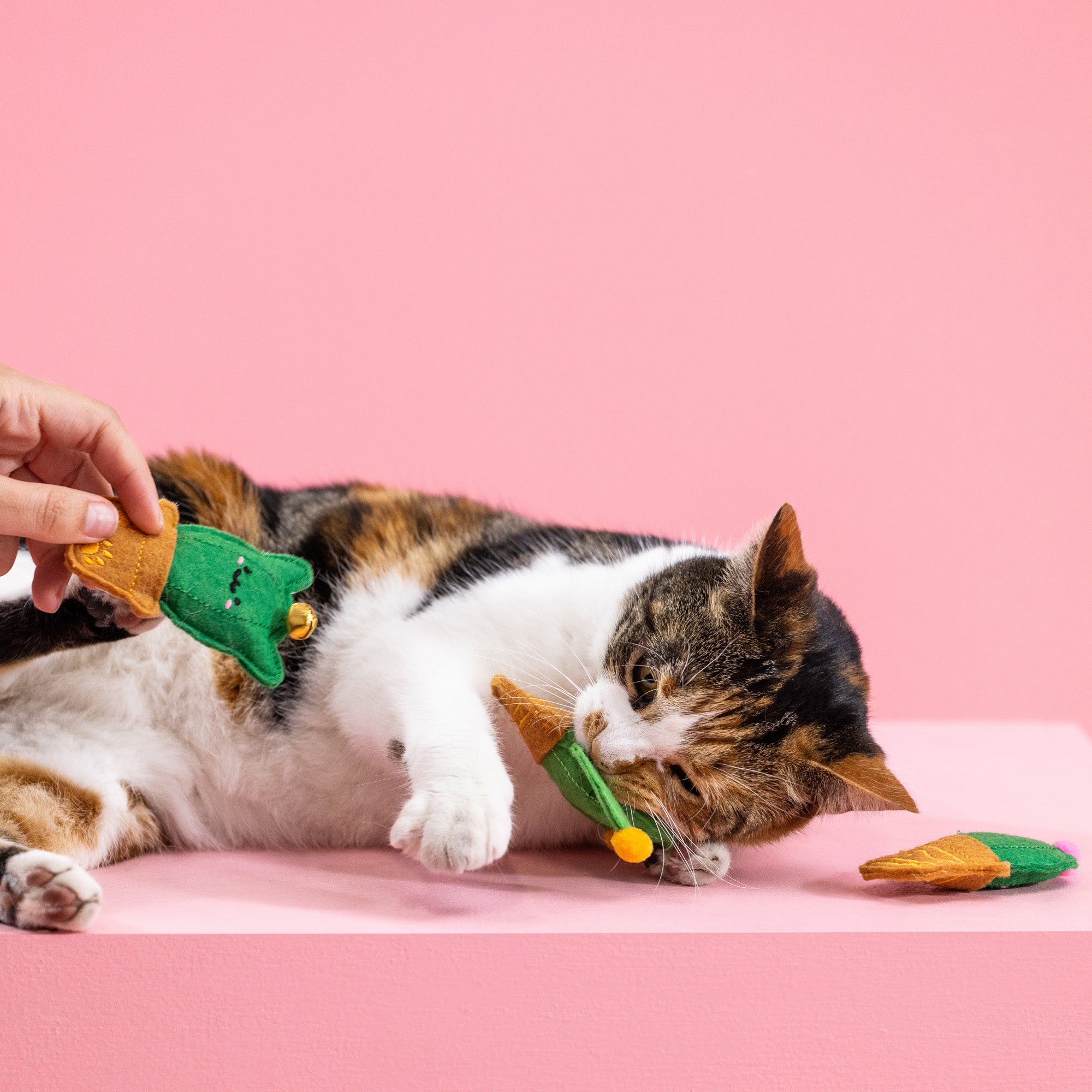 Cat-Us Friends 3pc Felt Cat Toy Set