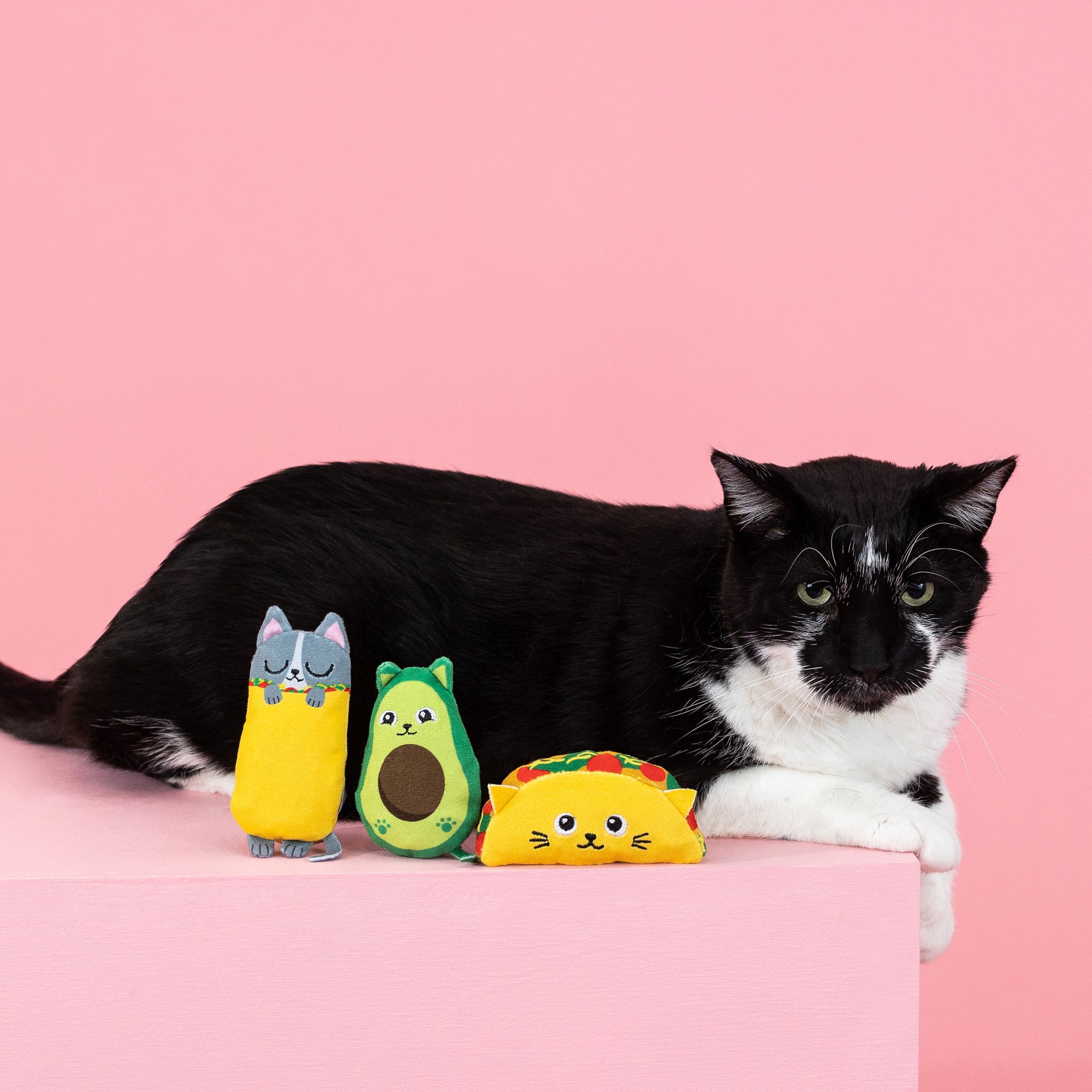 Kitty Cravings 3pc Mini Plush Cat Toy Set