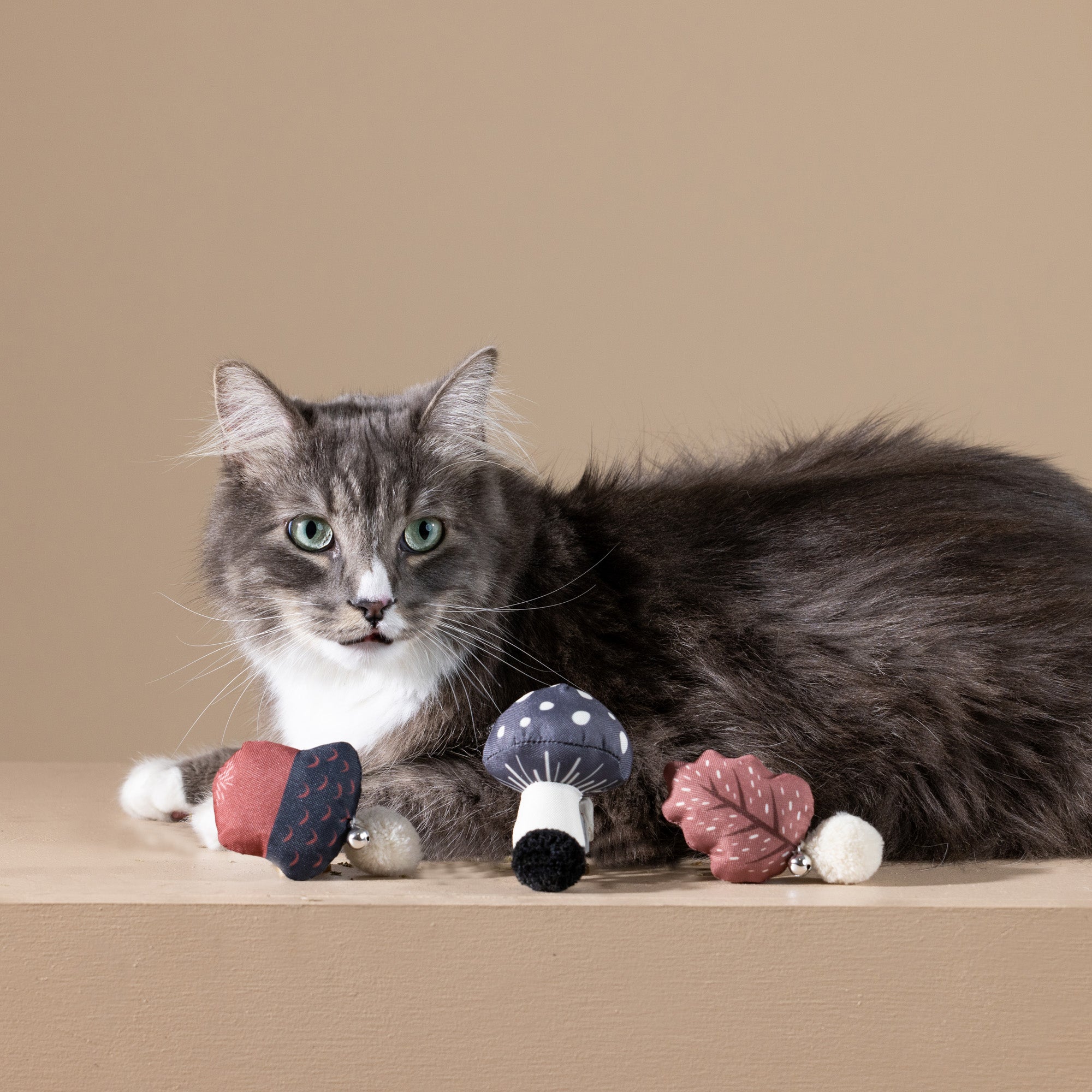 Forest Finds 3pc Mini Canvas Cat Toy Set