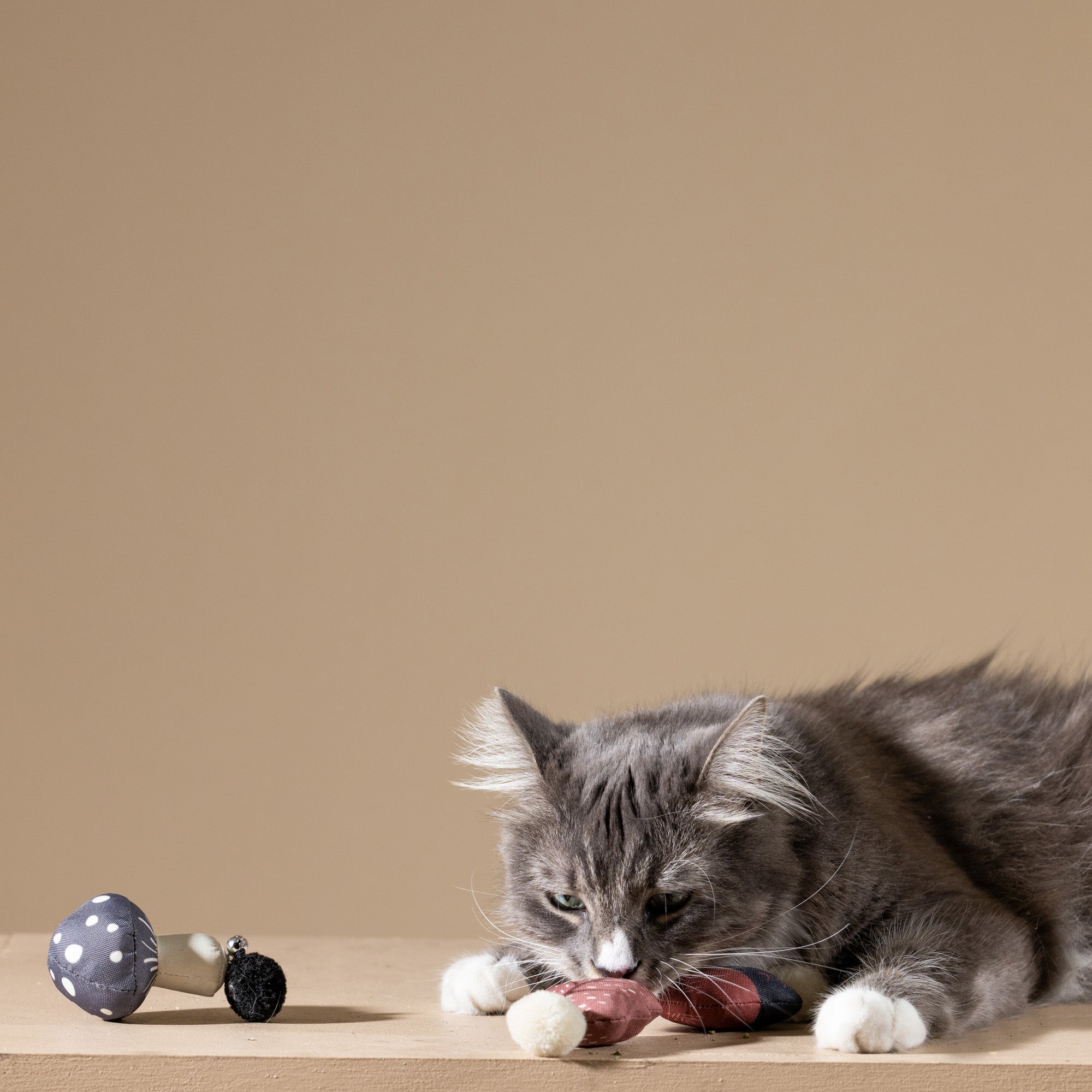 Forest Finds 3pc Mini Canvas Cat Toy Set