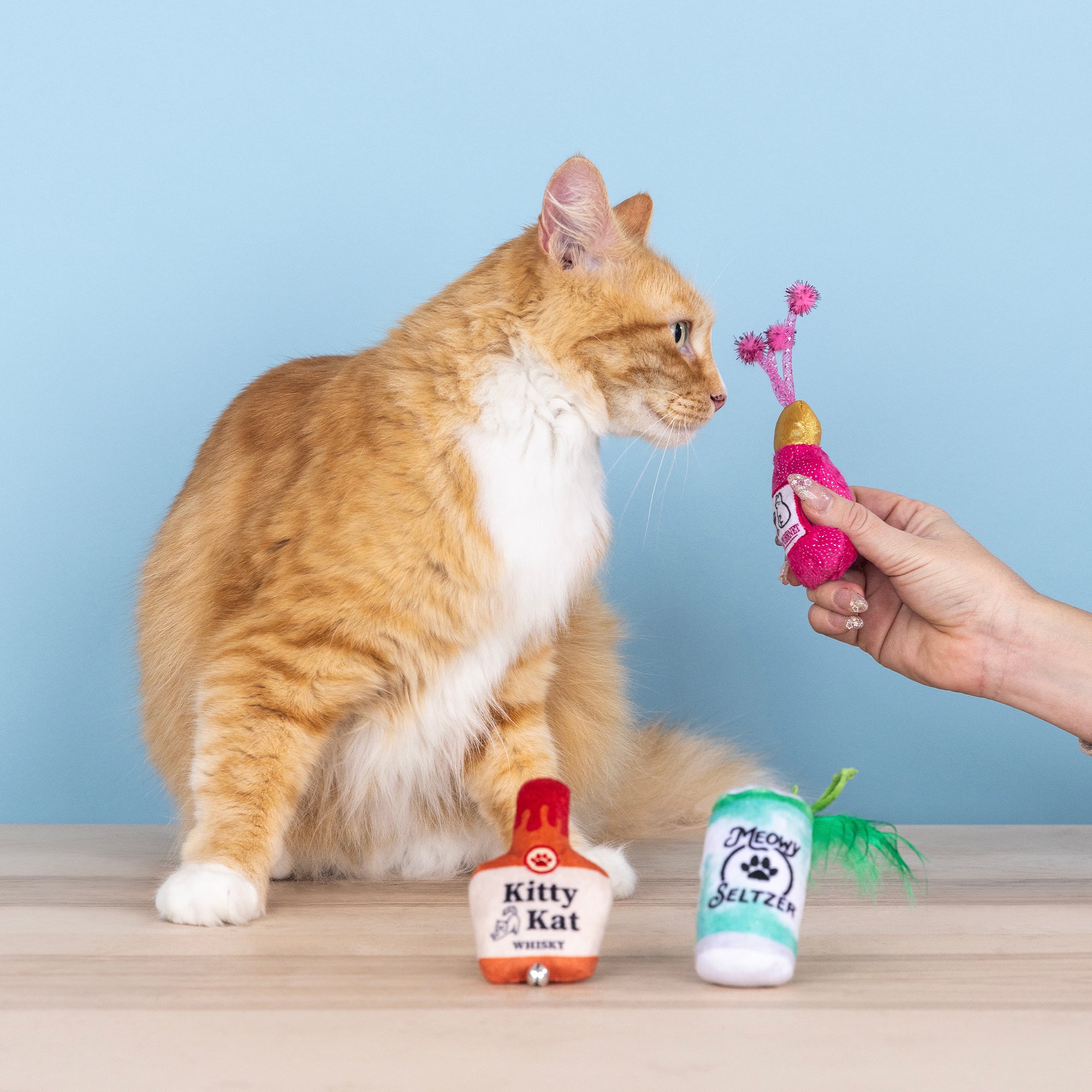 Kitten My Drink On 3pc Mini Plush Cat Toy Set