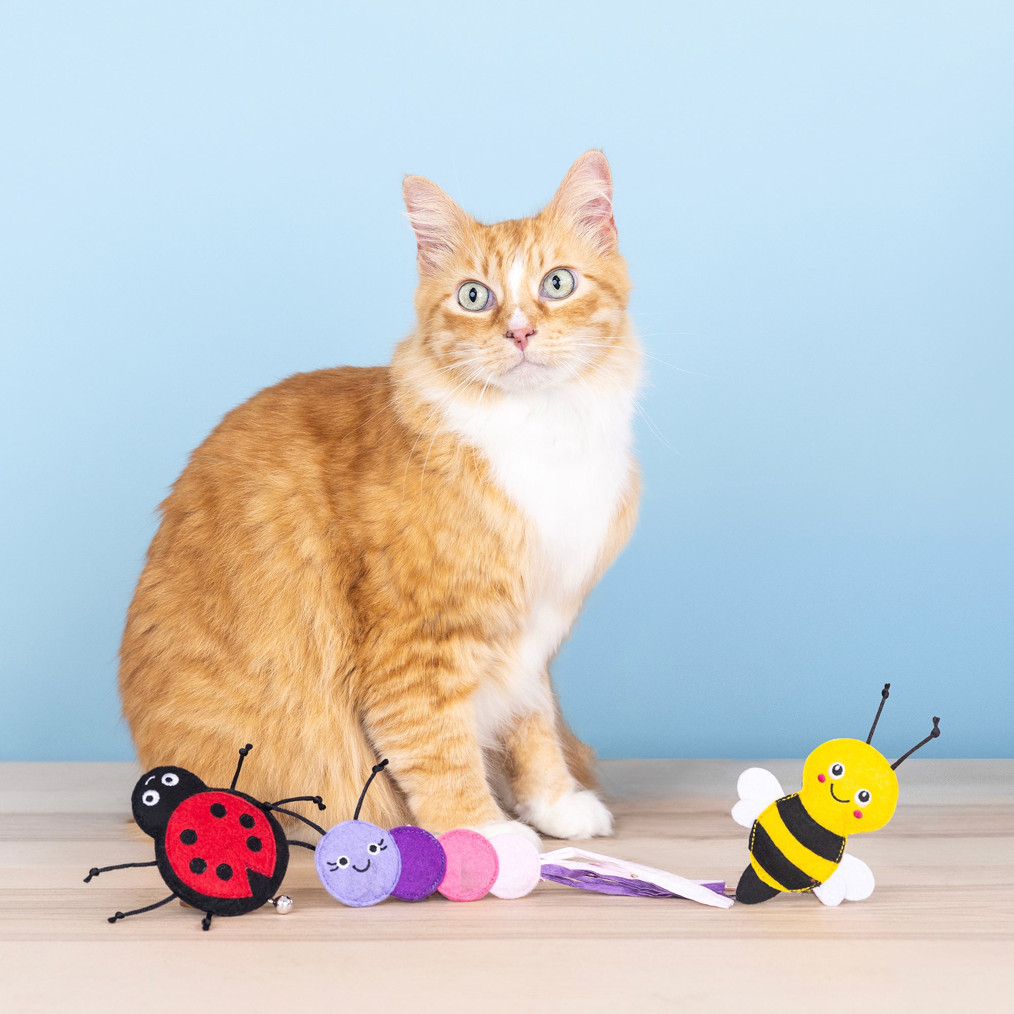 Living The Bug Life 3pc Mini Plush Cat Toy Set