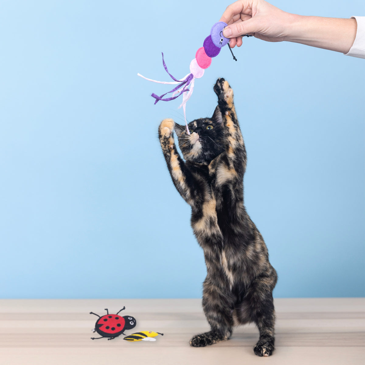 Living The Bug Life 3pc Mini Plush Cat Toy Set