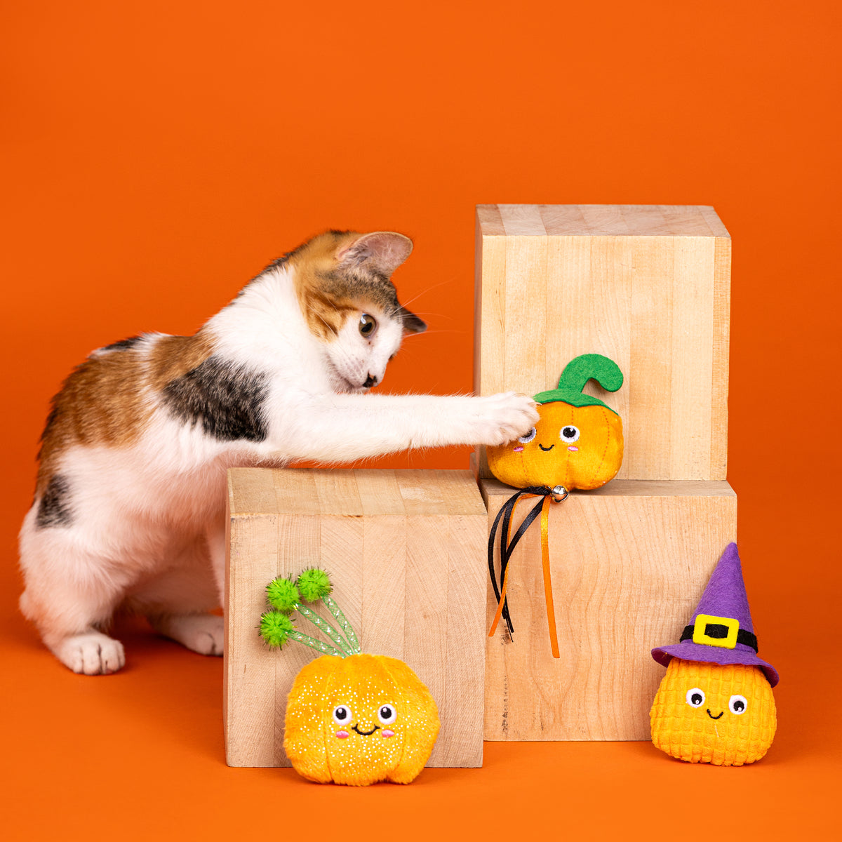 Witch of the Patch 3pc Mini Plush Cat Toy Set