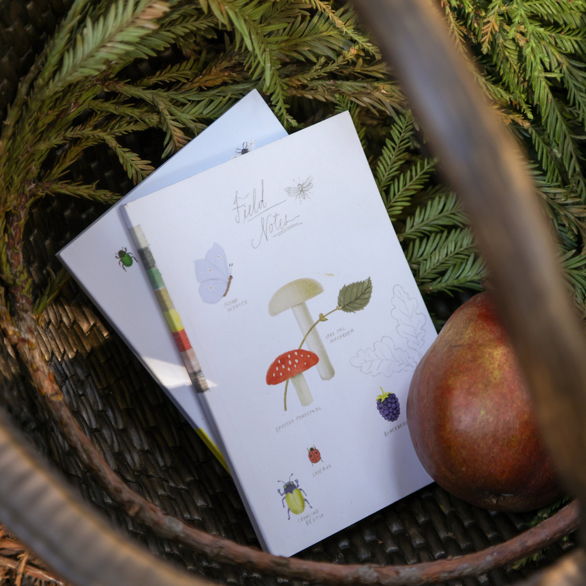 Forage Field Slim Journals