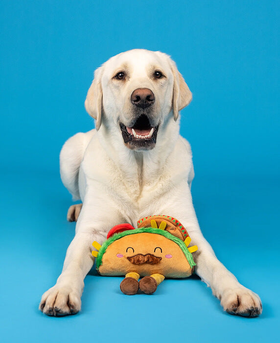 Something Blue Wedding Planner