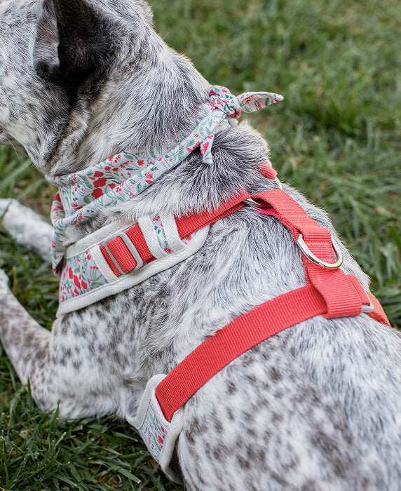 Something Blue Wedding Planner