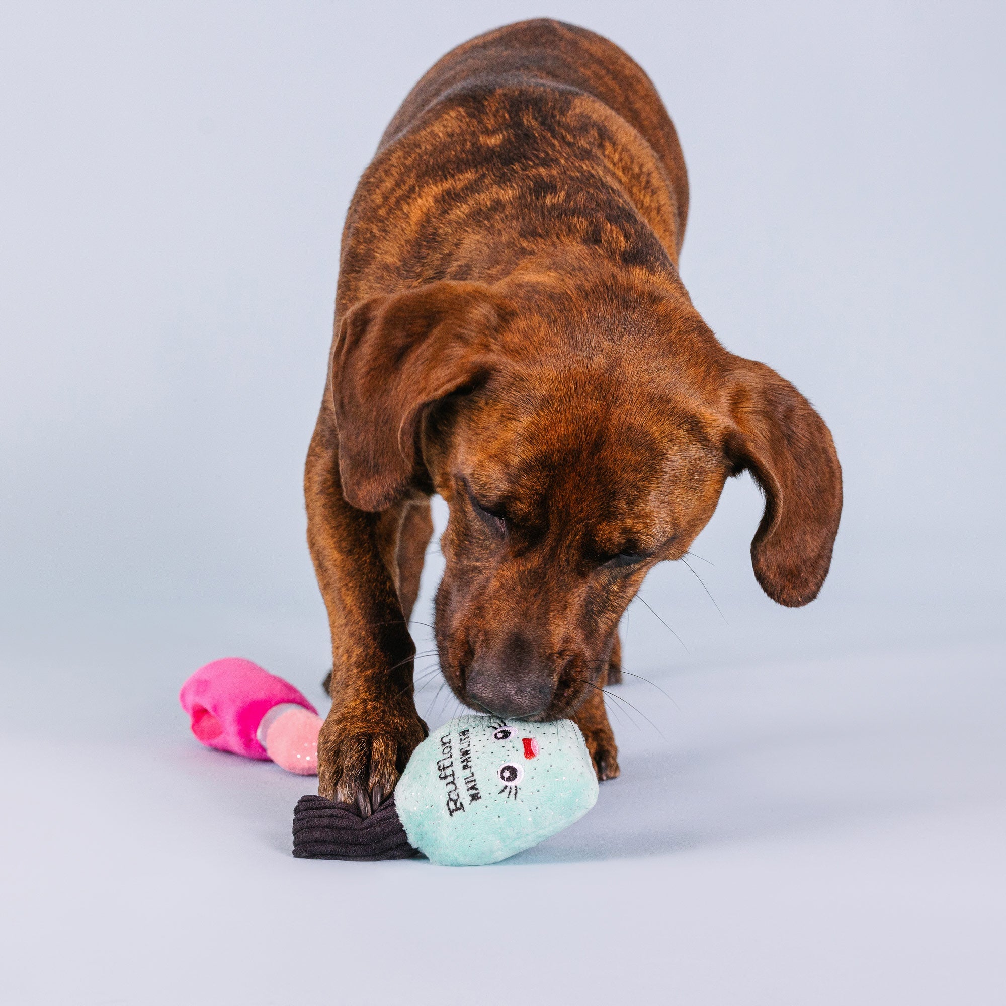 Wake Up And Make Up 2pc Nose Work Plush Dog Toy Set