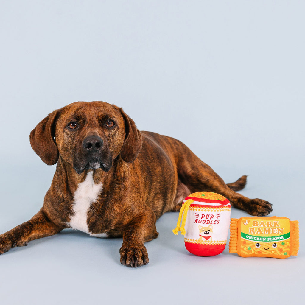 Nothin' But Noodles Interactive Toys