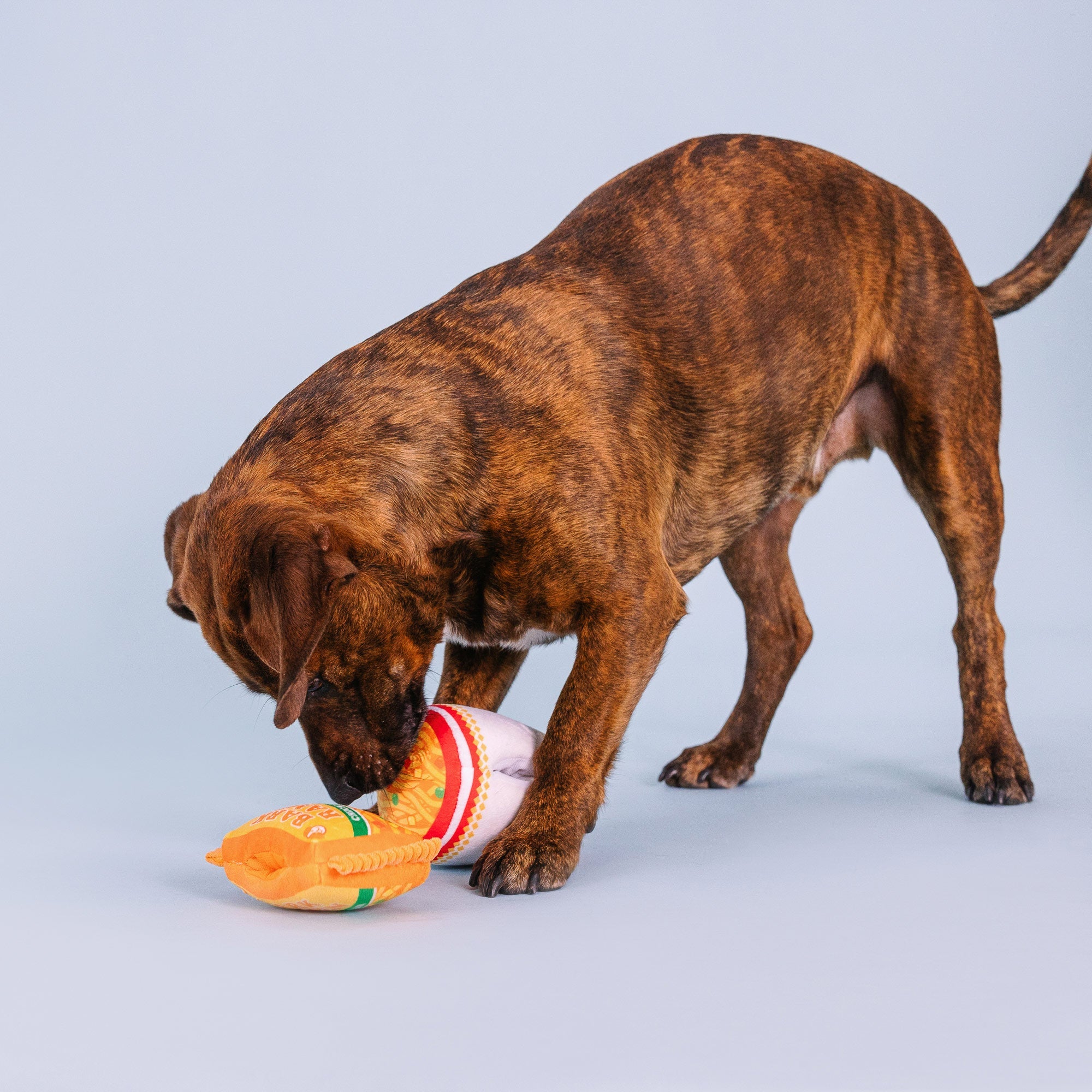 Nothin' But Noodles 2pc Nose Work Plush Dog Toy Set