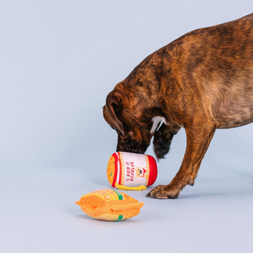 Nothin' But Noodles Interactive Toys