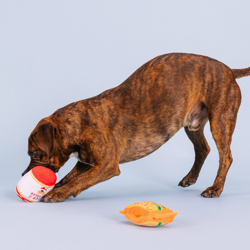 Nothin' But Noodles Interactive Toys