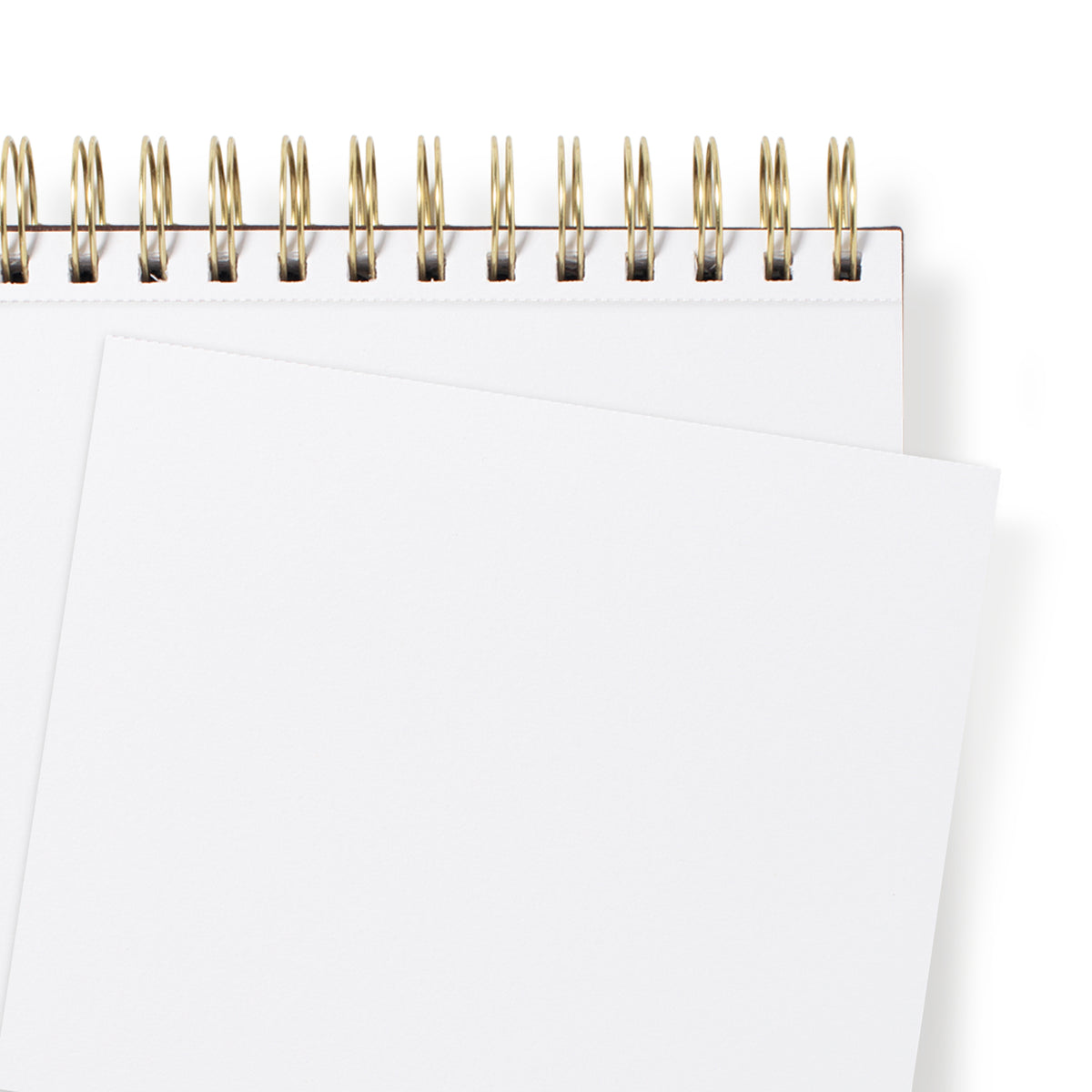 SE Standard Espresso Sketch Pad