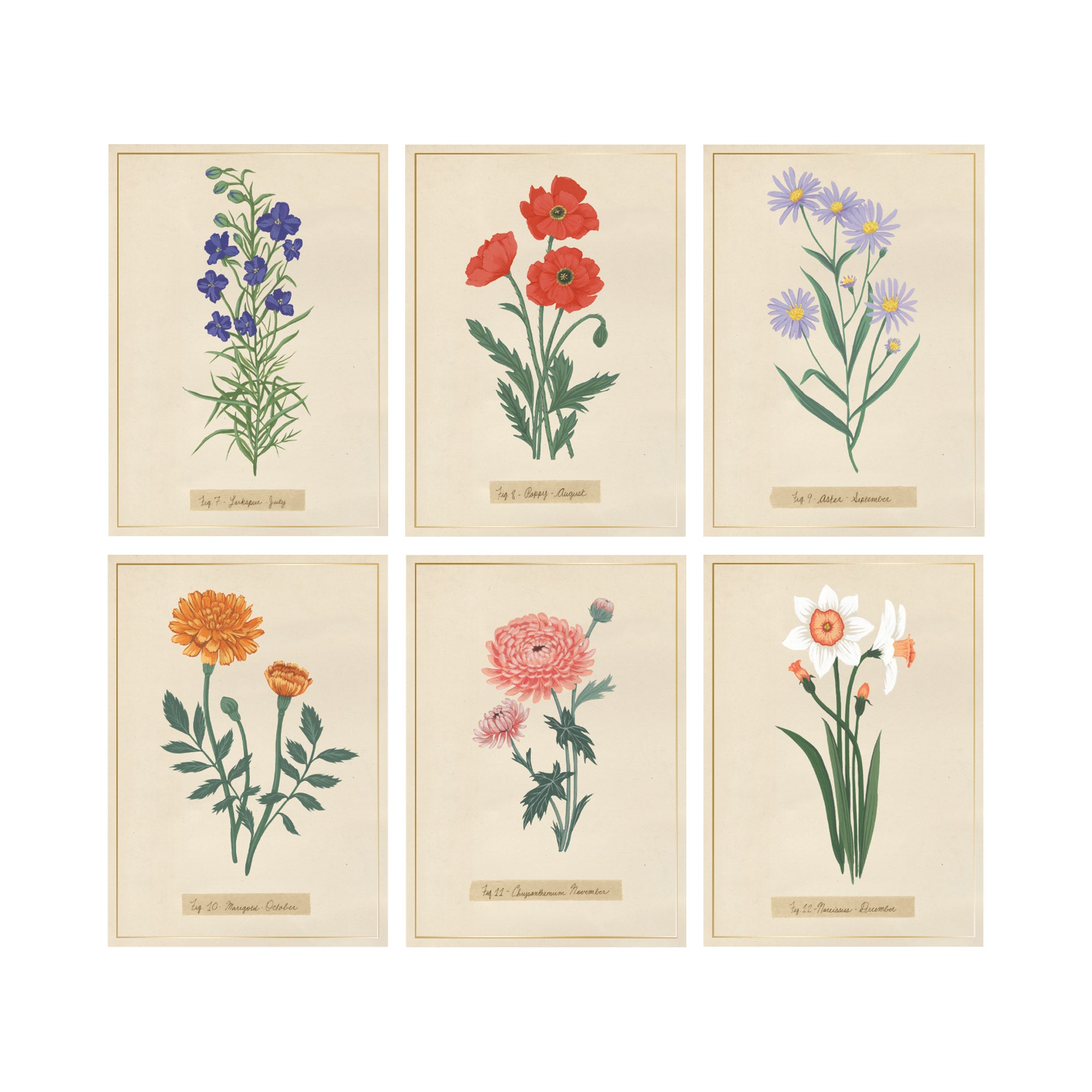 Mg Monthly Florals Assorted Card Set