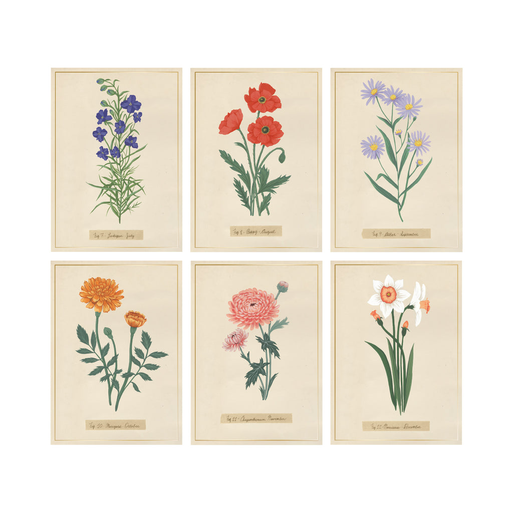 MG MONTHLY FLORALS ASSORTED CARD SET