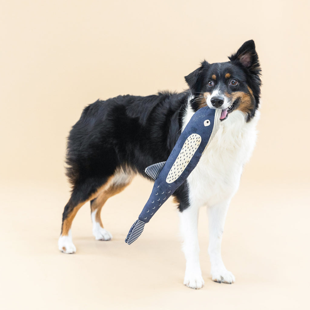 There She Blows Dog Toy