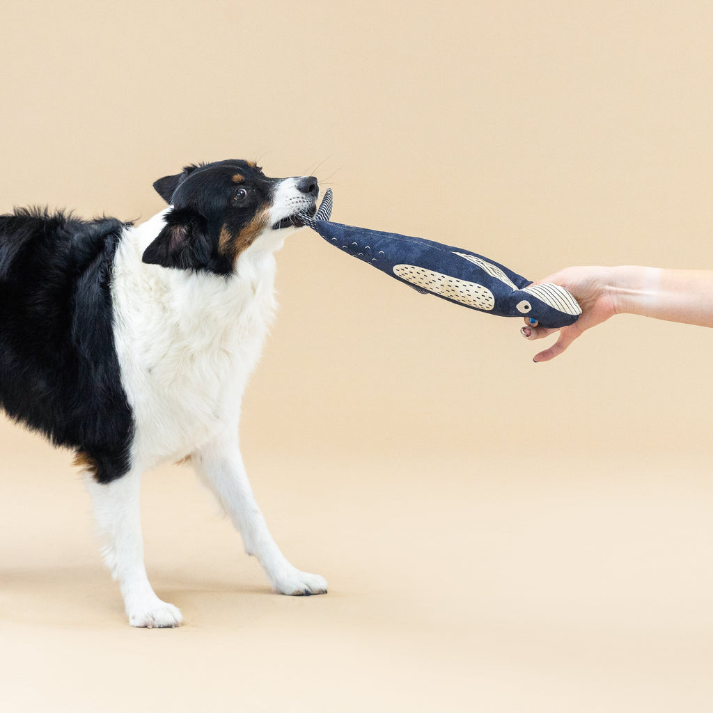 There She Blows Dog Toy