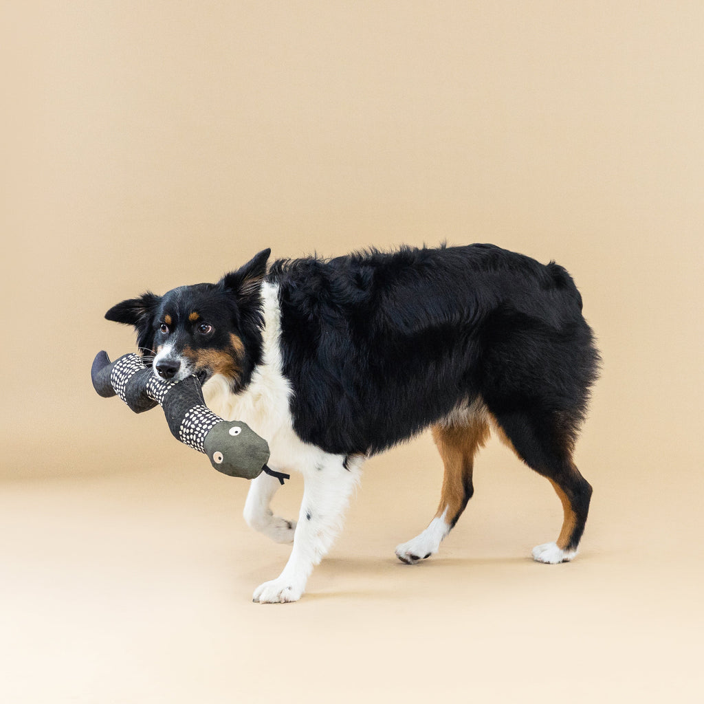 Ssssssup Dog Toy