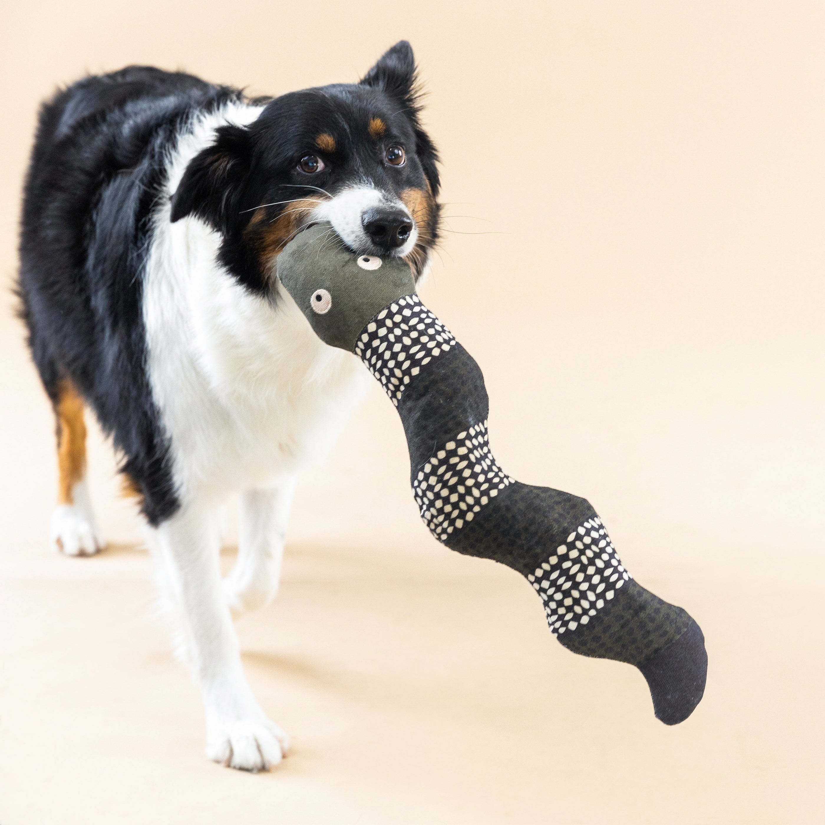 Ssssssup Canvas Dog Toy