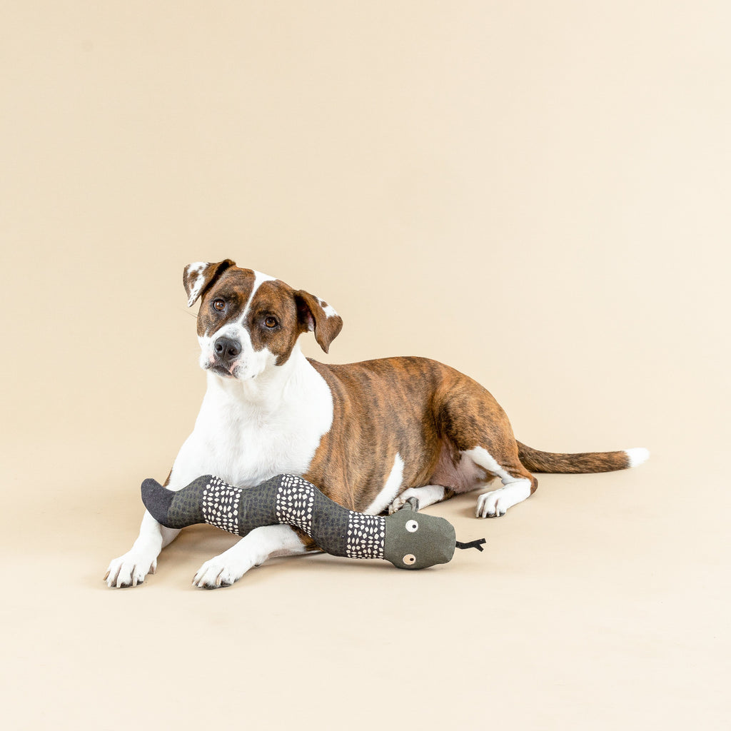 Ssssssup Dog Toy