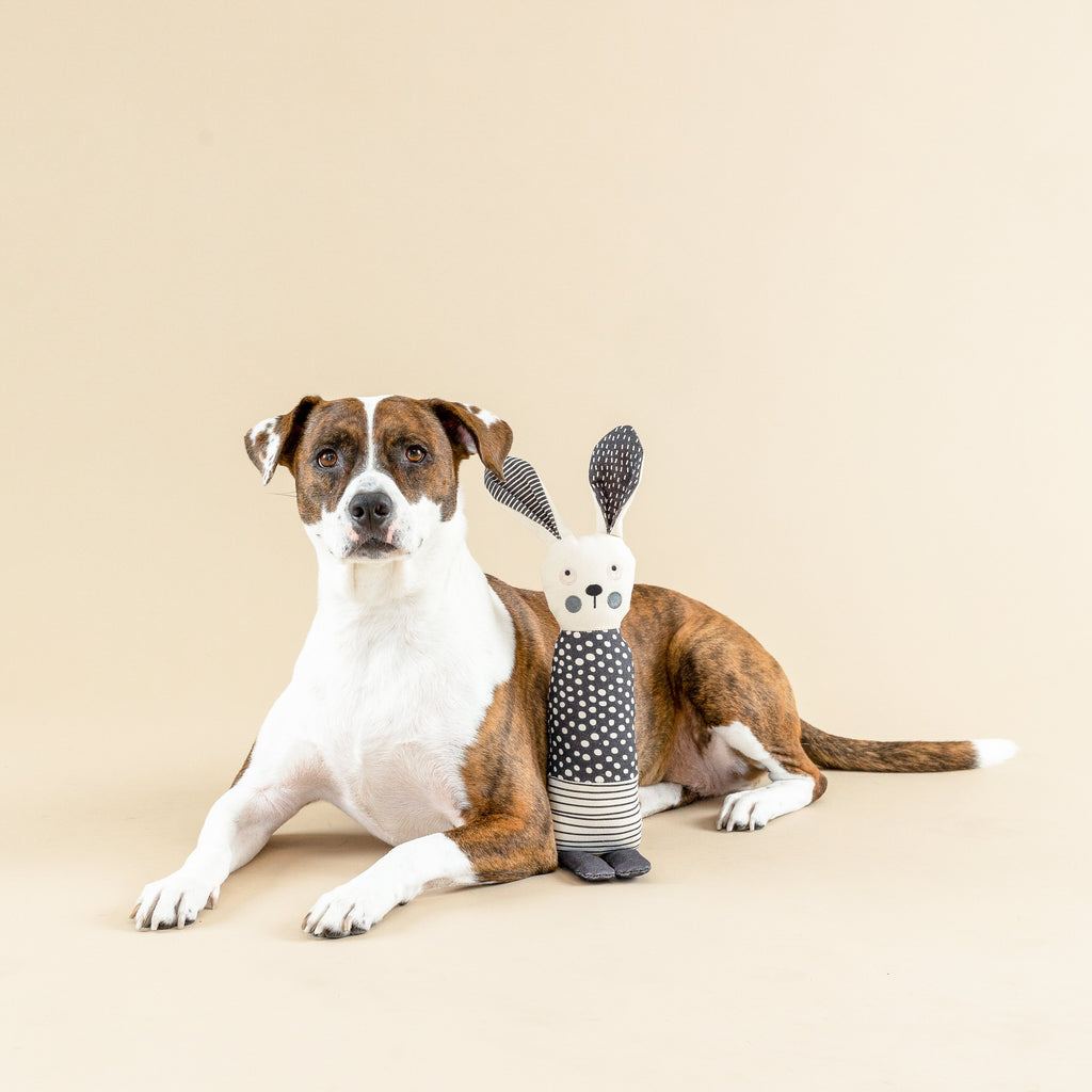 All Ears Rabbit Canvas Dog Toy