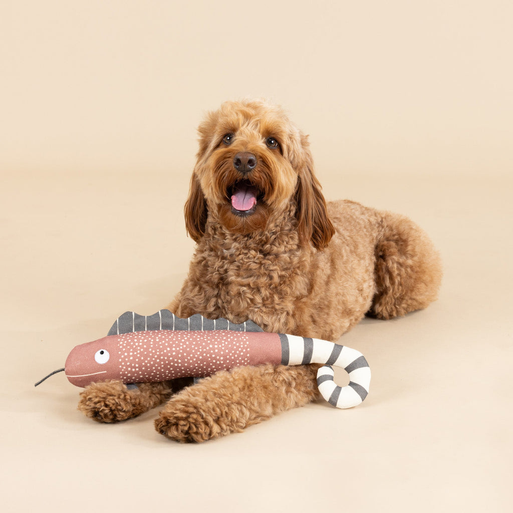 One In A Chameleon Canvas Dog Toy