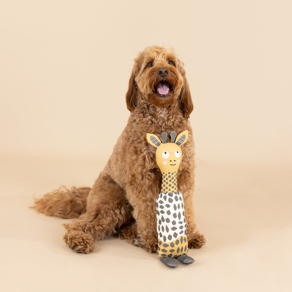 High There! Canvas Dog Toy