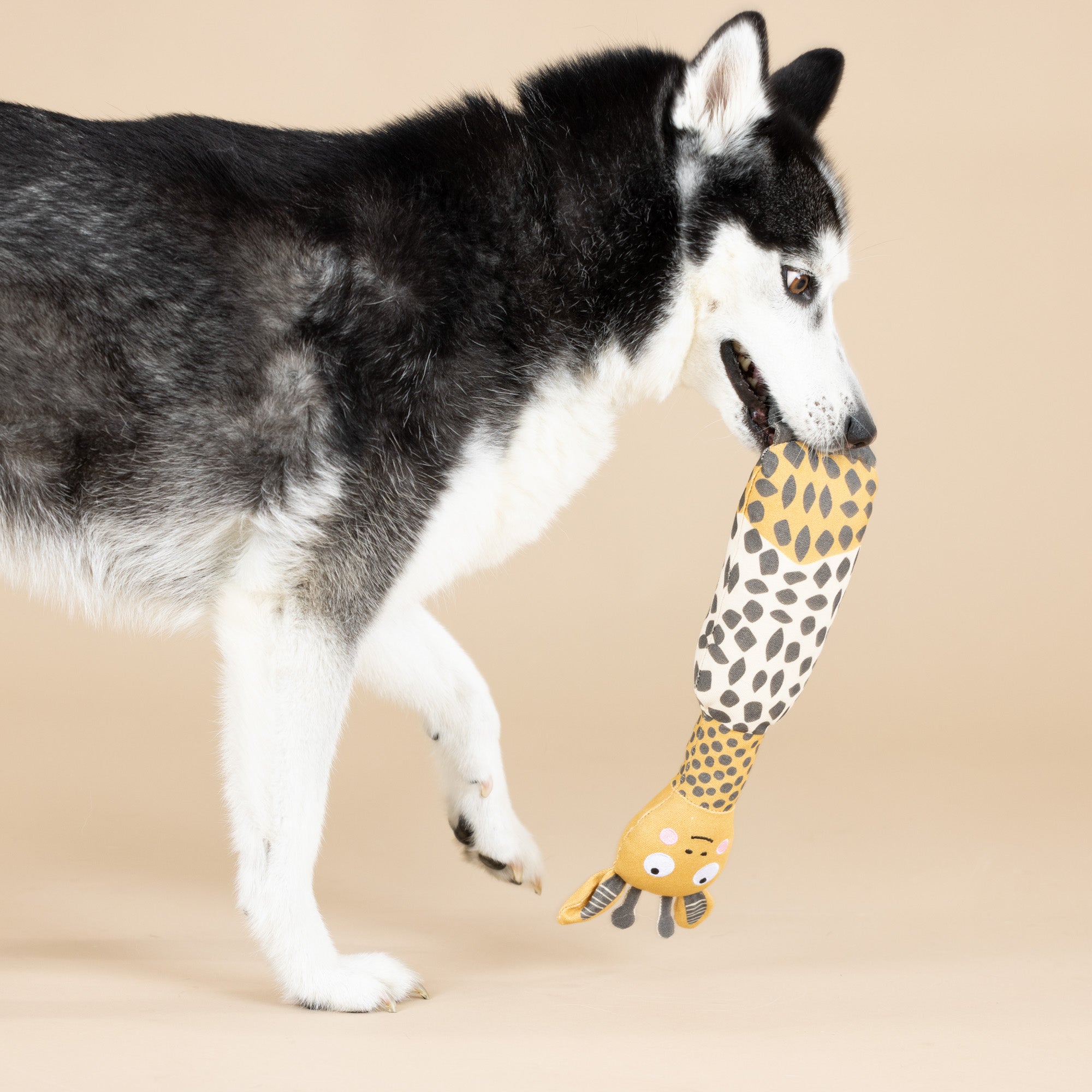High There! Canvas Dog Toy