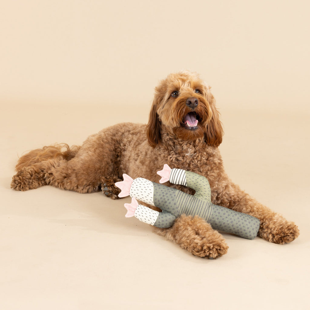 I Can Be A Bit Prickly Canvas Dog Toy