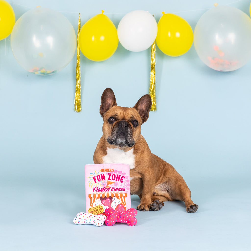 Fun Zone Bones Interactive Dog Toys