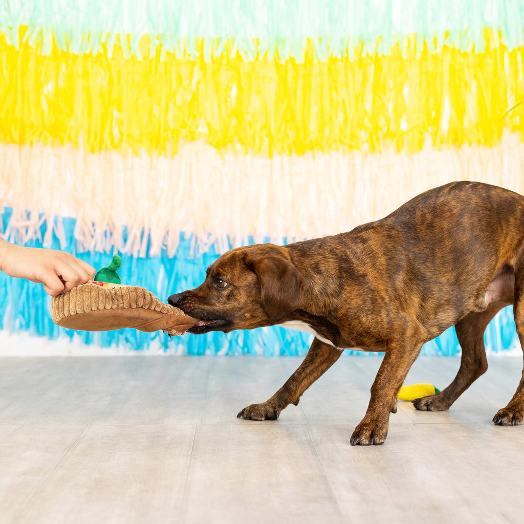 Fiesta Till You Siesta Dog Toy