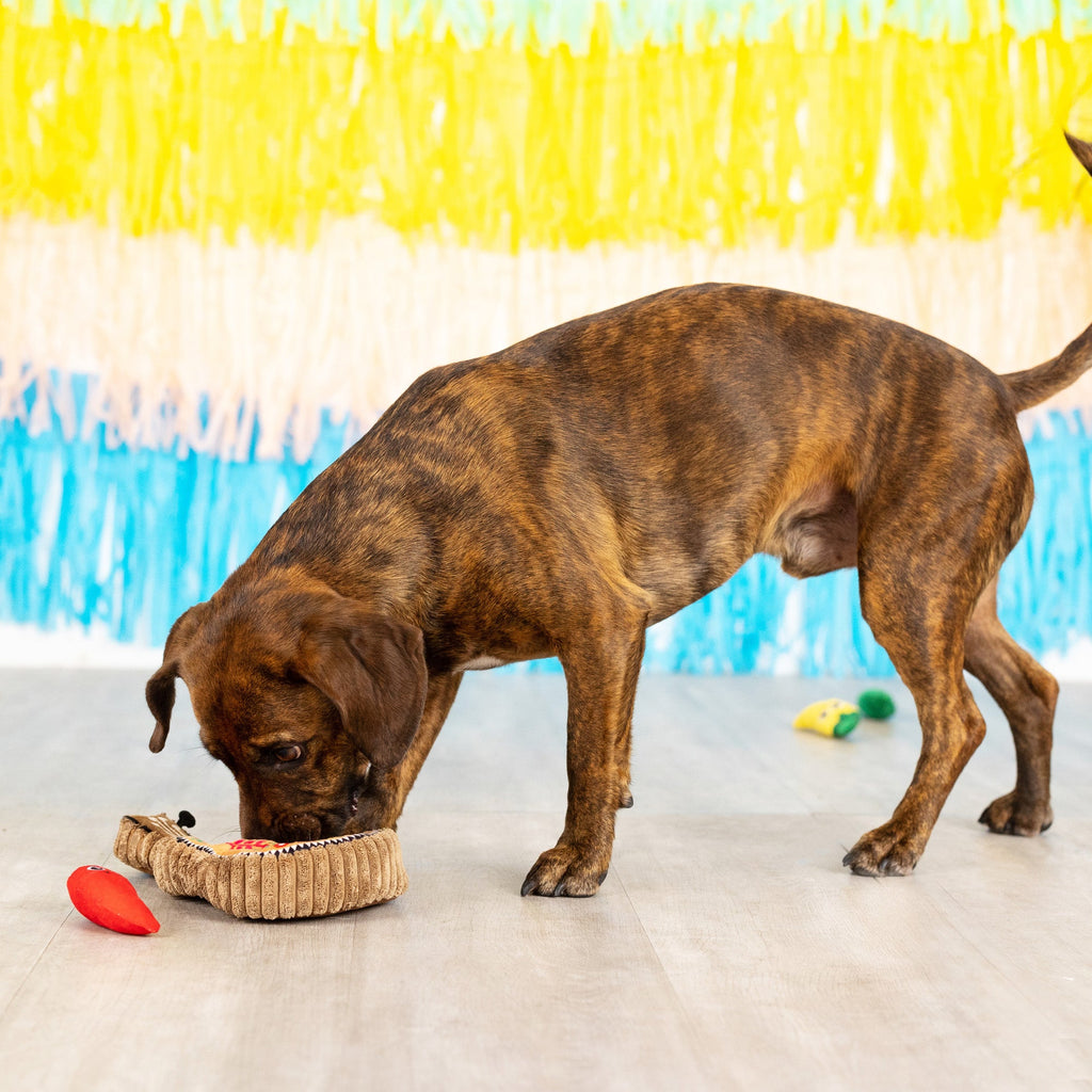 Fiesta Till You Siesta Dog Toy
