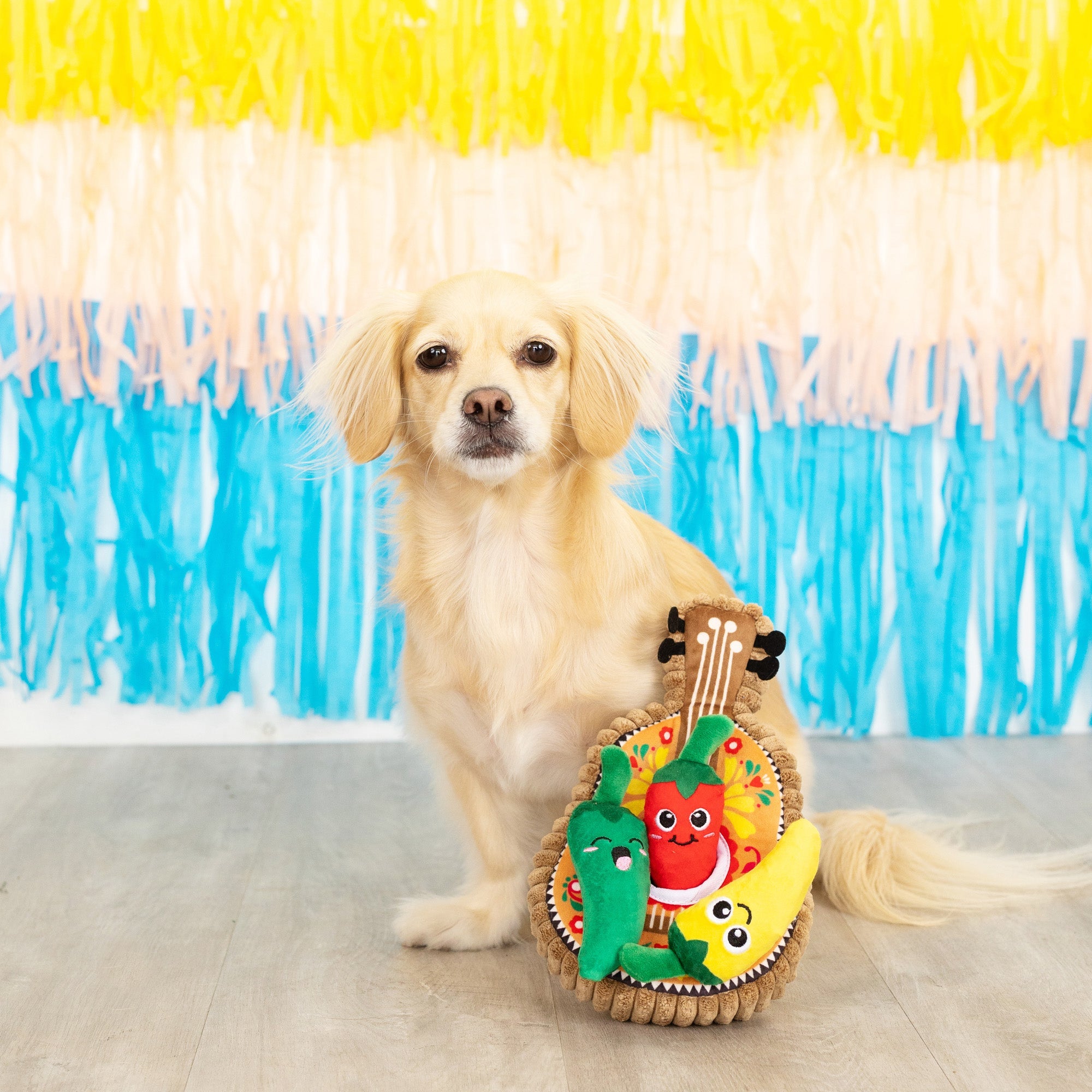 Fiesta Till You Siesta Burrow Plush Dog Toy