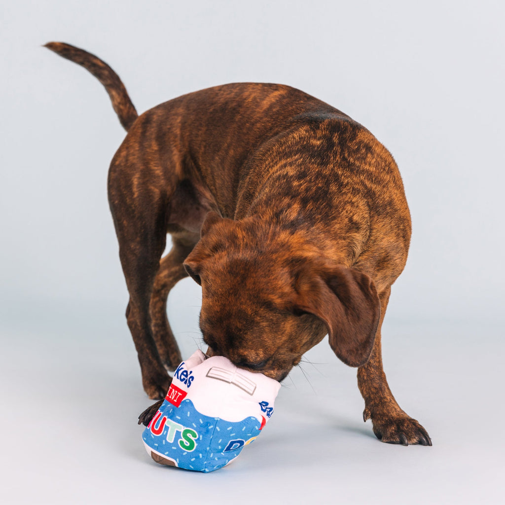 Eat More Hole Foods Interactive Toys